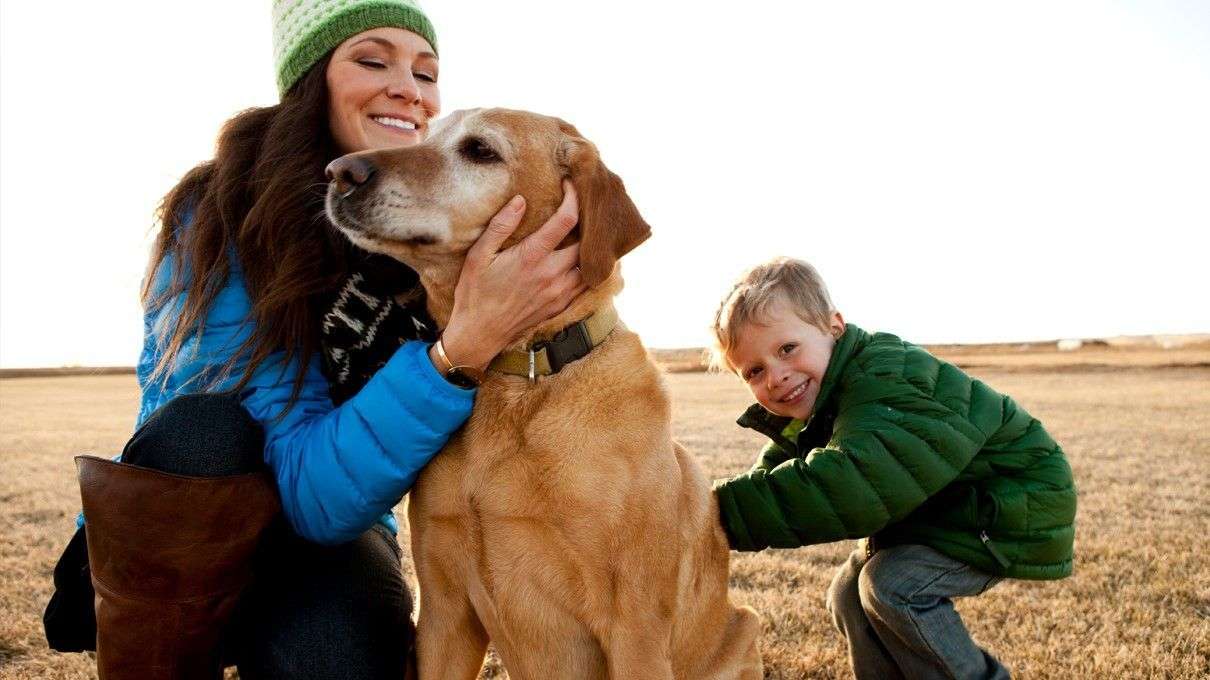 Leia mais sobre o artigo Hormônio do amor é trocado entre humanos e cachorros através do sorriso