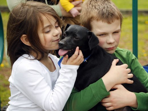 Leia mais sobre o artigo Em meio a incêndio, cãozinho resgata família com 9 crianças