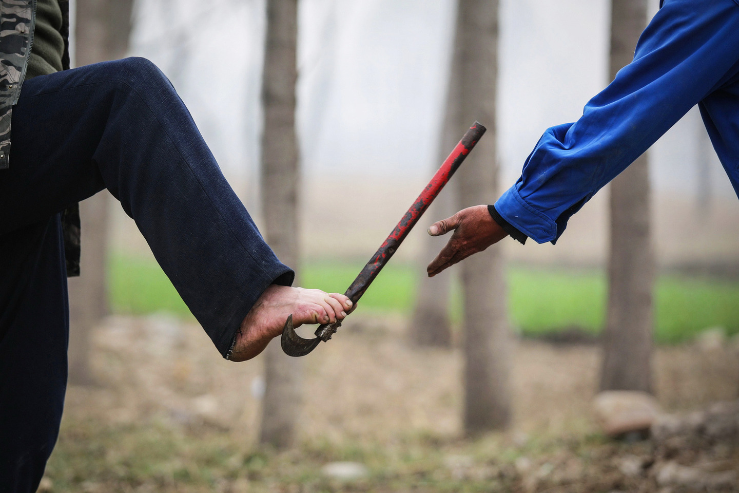 Leia mais sobre o artigo Cego e seu amigo sem braços plantam 10 mil árvores na China