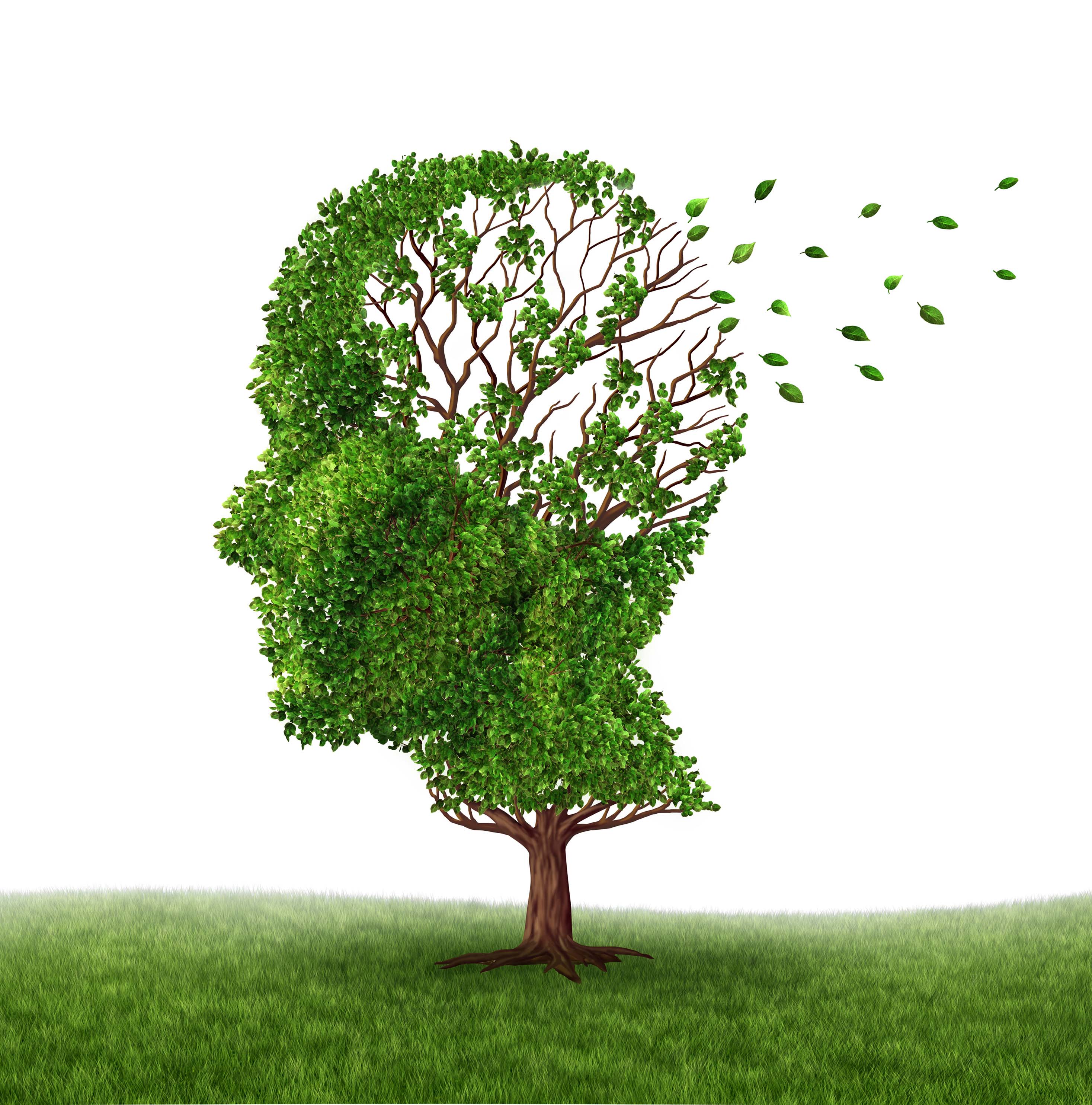 Leia mais sobre o artigo Tratamento restaura toda a memória comprometida pelo Alzheimer