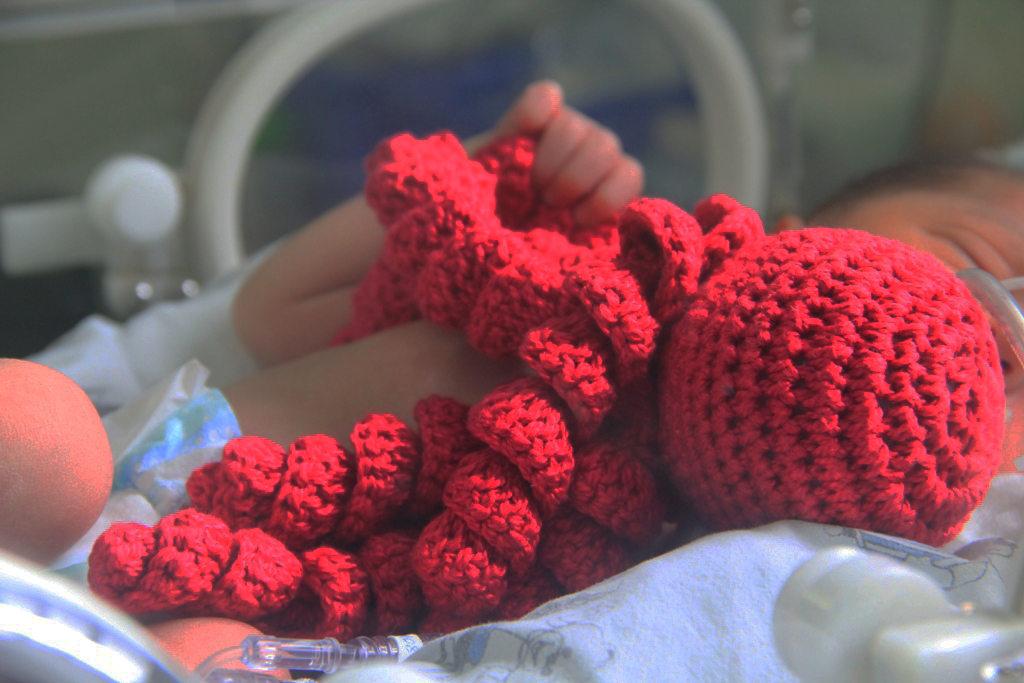 Leia mais sobre o artigo Recém-nascidos são acalentados com polvos de crochê