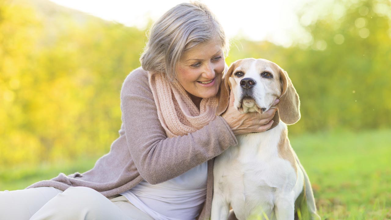 Leia mais sobre o artigo 4 benefícios dos pets para os idosos